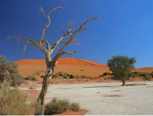 Потепление климата высушивает Землю, считают ученые